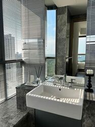 Skyline Residences (D4), Condominium #584969801